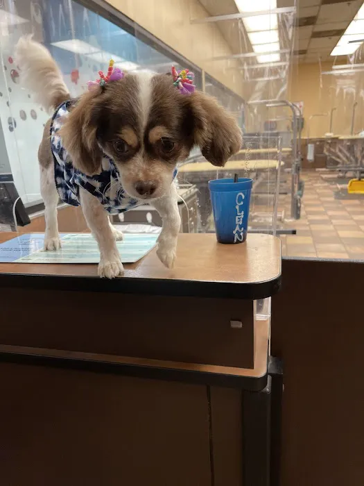 Banfield Pet Hospital Picture 9
