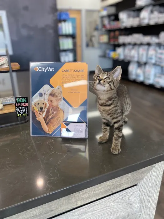 CityVet | Windhaven Picture 4