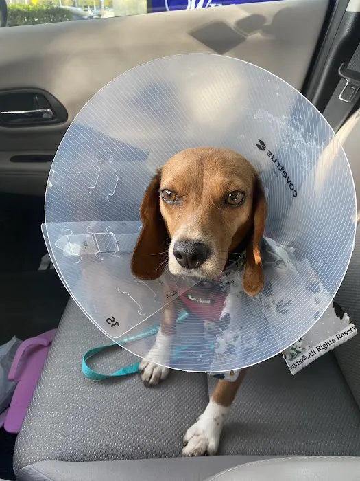 Windhaven Veterinary Hospital Picture 4