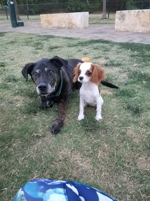 Windhaven Veterinary Hospital Picture 8