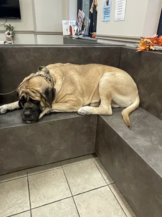 Windhaven Veterinary Hospital Picture 9