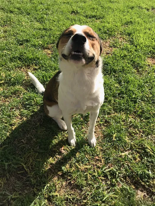 Windhaven Veterinary Hospital Picture 7