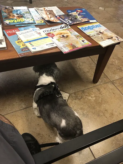 Town & Country Veterinary Clinic Picture 1