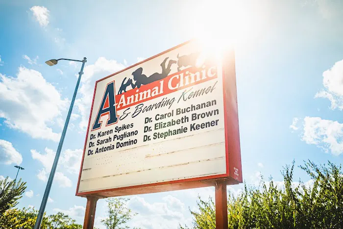 A-Animal Clinic & Boarding Kennel Picture 1