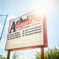 A-Animal Clinic & Boarding Kennel ico
