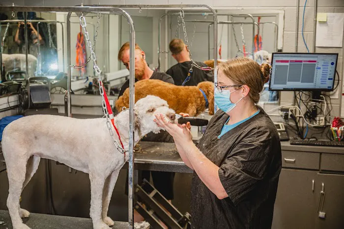 A-Animal Clinic & Boarding Kennel Picture 8
