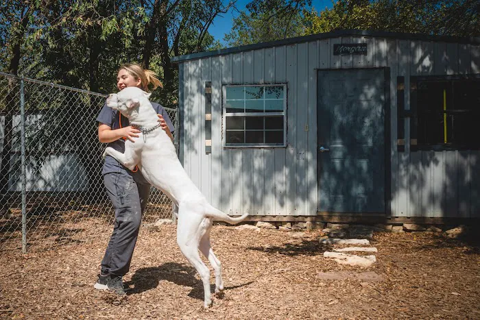 A-Animal Clinic & Boarding Kennel Picture 9