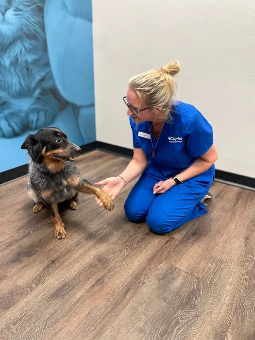 CityVet | South Hulen Picture 8