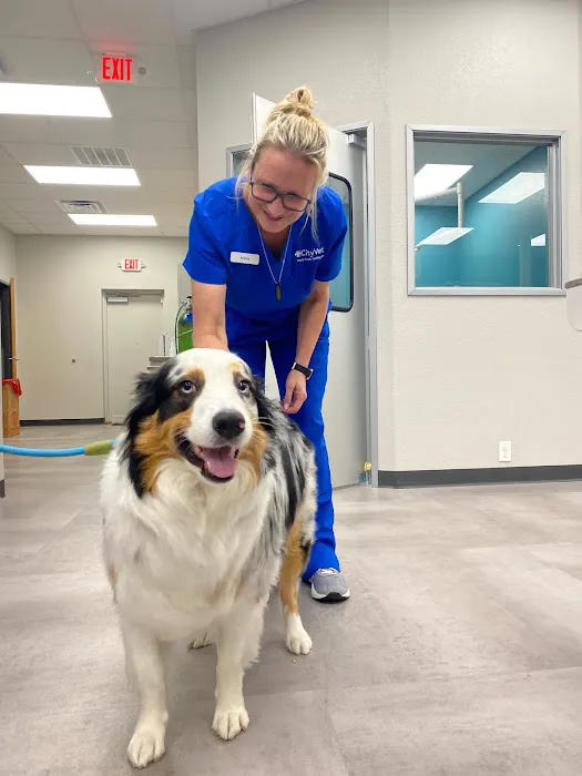 CityVet | South Hulen Picture 2