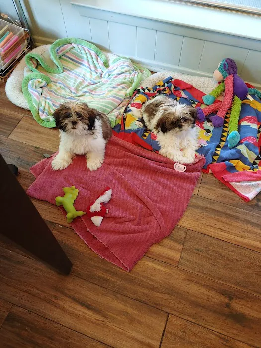 Westcliff Animal Hospital Picture 4