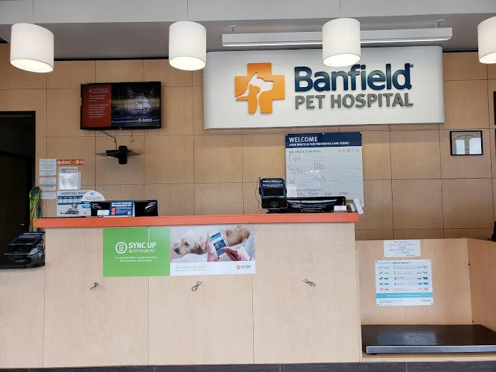 Banfield Pet Hospital Picture 8
