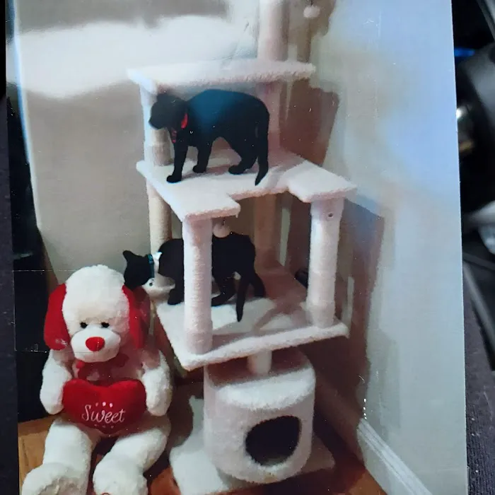 South Hills Animal Hospital Picture 1