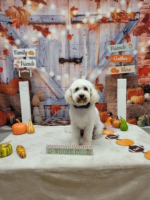 Justin Animal Hospital Picture 4