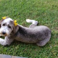 Ponder Veterinary Hospital ico