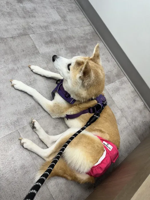 Ponder Veterinary Hospital Picture 2