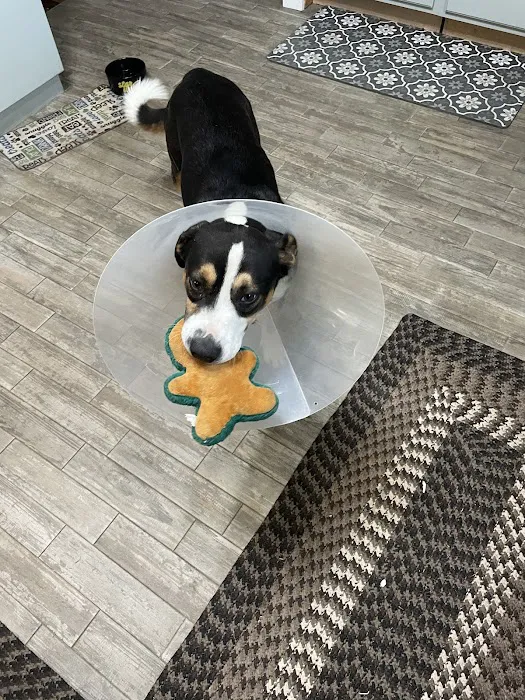 Dove Creek Animal Hospital Picture 4