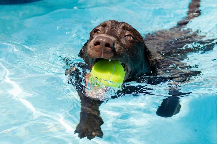 Dove Creek Animal Hospital Picture 2