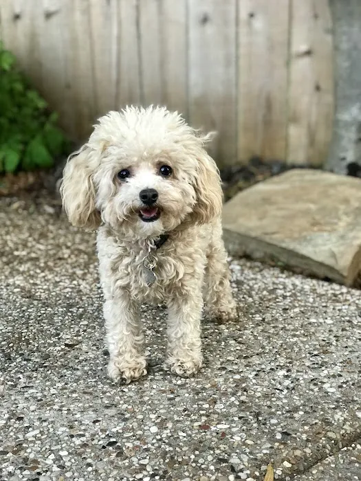 Corinth Animal Hospital Picture 8