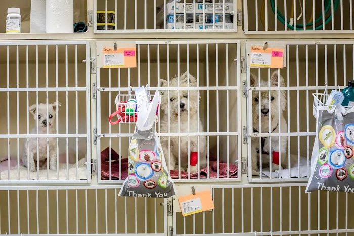 Corinth Animal Hospital Picture 10