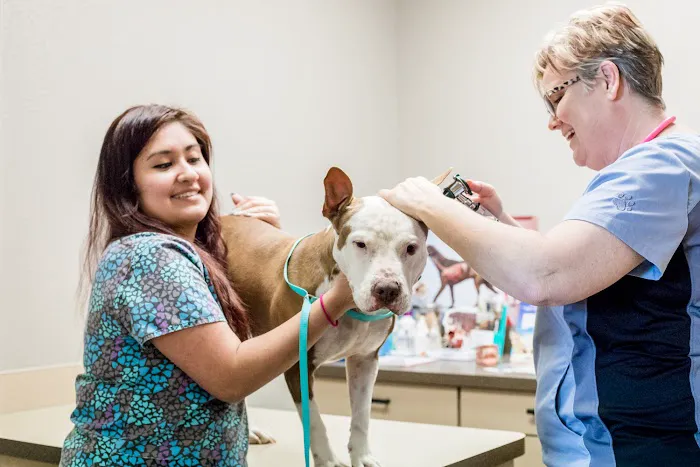 Corinth Animal Hospital Picture 4