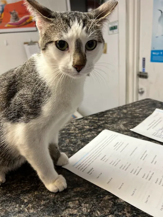 Saginaw Pet Care Picture 1