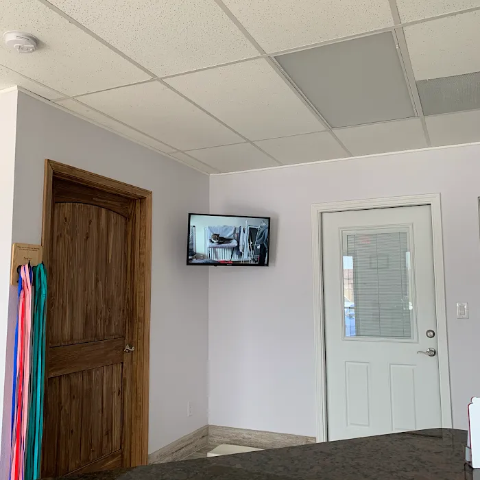 Saginaw Pet Care Picture 7