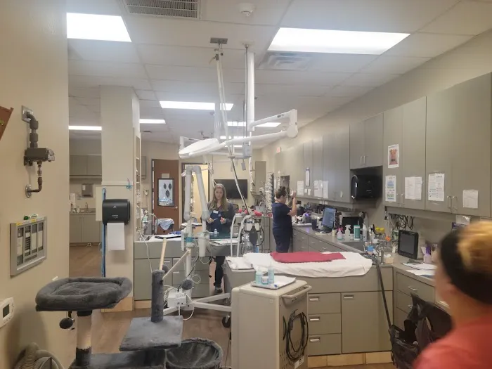 VCA Saginaw Animal Hospital Picture 8