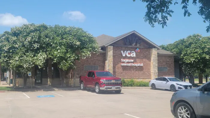 VCA Saginaw Animal Hospital Picture 2
