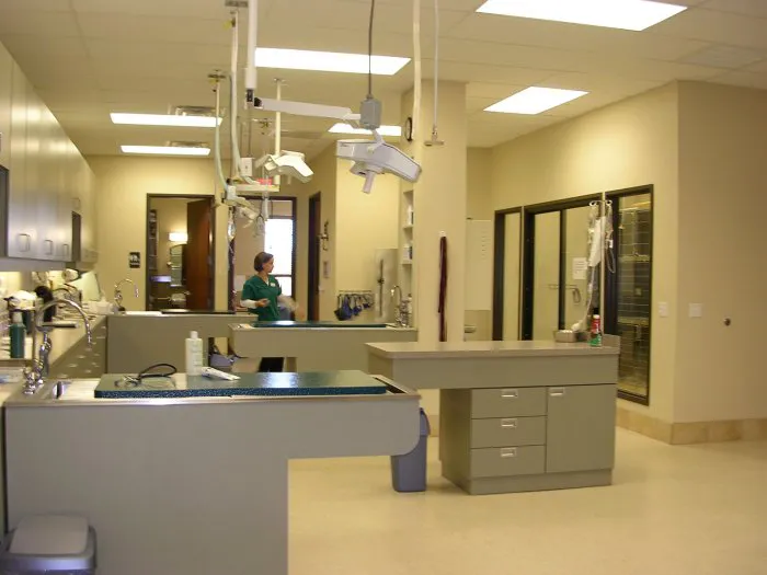 VCA Saginaw Animal Hospital Picture 7