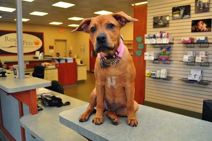 Boat Club Road Animal Hospital Picture 8