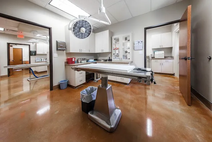 Canyon Creek Animal Clinic, A Thrive Pet Healthcare Partner Picture 1