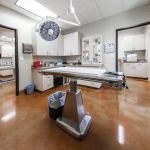 Canyon Creek Animal Clinic, A Thrive Pet Healthcare Partner