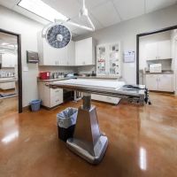 Canyon Creek Animal Clinic, A Thrive Pet Healthcare Partner ico