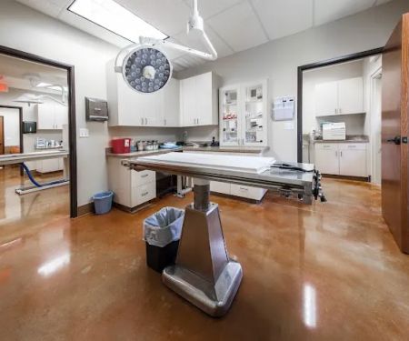 Canyon Creek Animal Clinic, A Thrive Pet Healthcare Partner