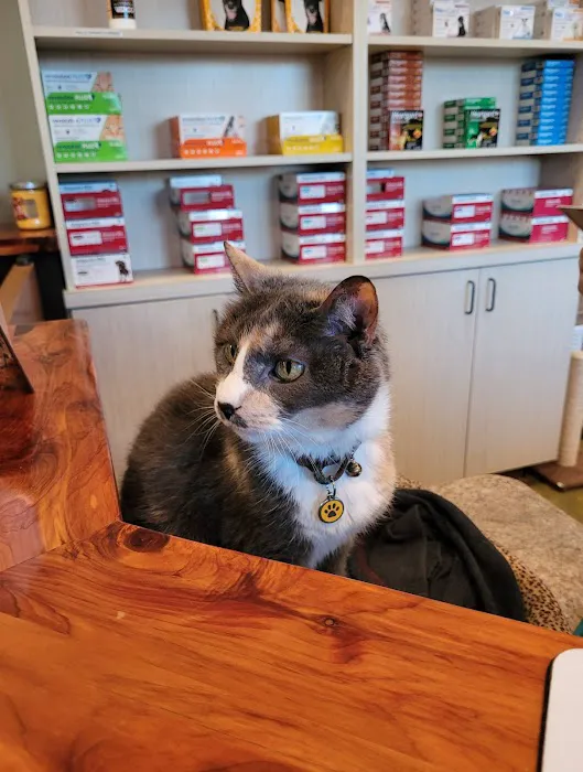 Canyon Creek Animal Clinic, A Thrive Pet Healthcare Partner Picture 2