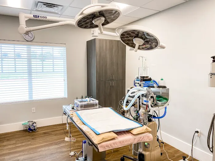 Animal Eye Specialists Picture 5