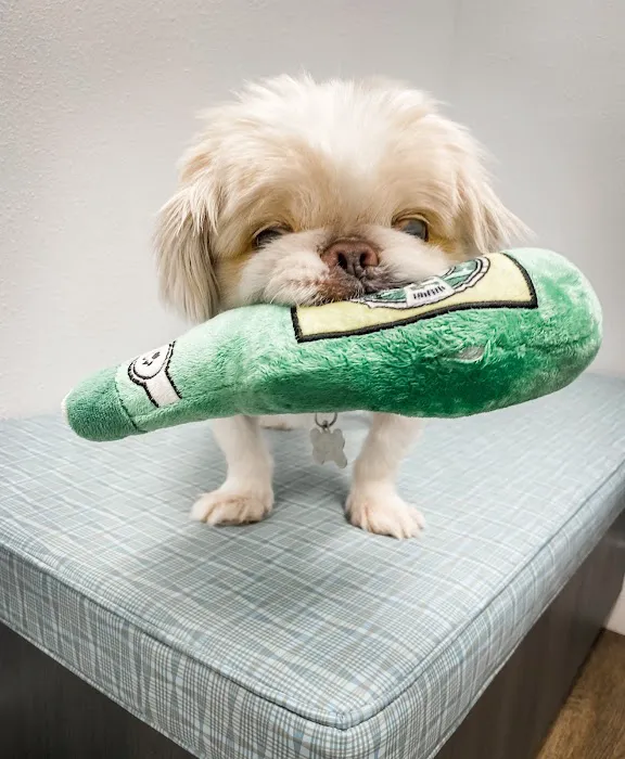 Animal Eye Specialists Picture 6