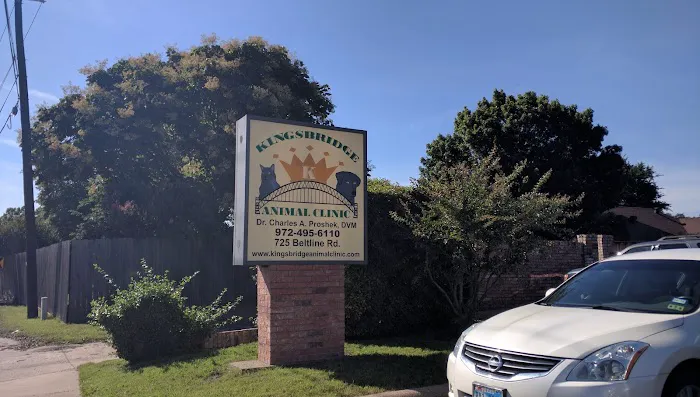 Kingsbridge Animal Clinic Picture 1