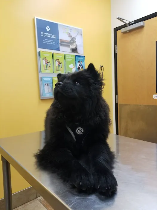 Banfield Pet Hospital Picture 6