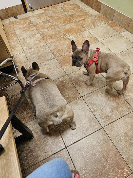 Banfield Pet Hospital Picture 3