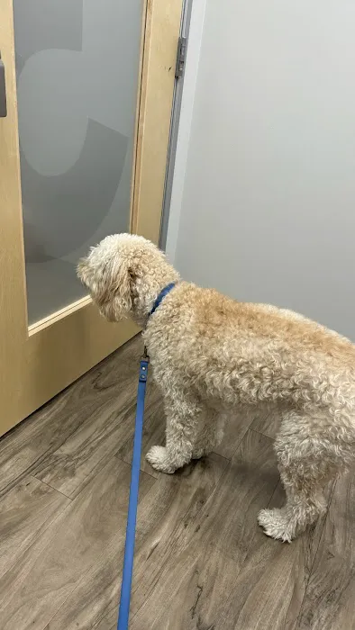 CityVet | Richardson Picture 2