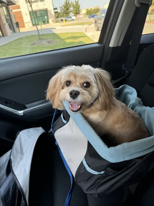 CityVet | Richardson Picture 1