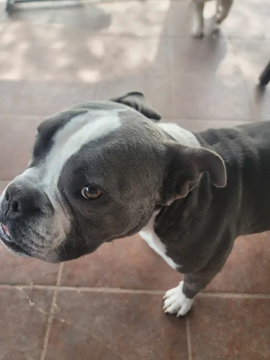 Vetco Total Care Animal Hospital Picture 5