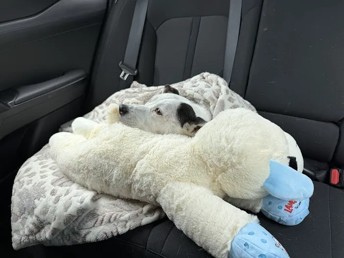 Vetco Total Care Animal Hospital Picture 9