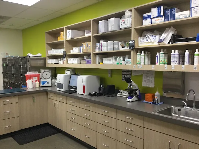 Vetco Total Care Animal Hospital Picture 7