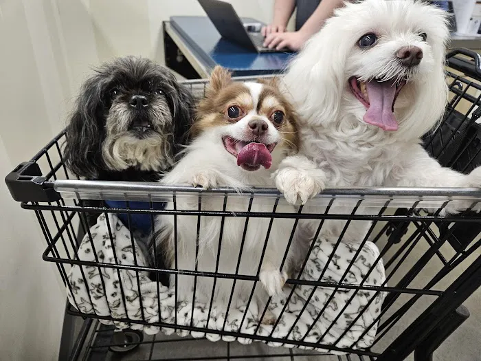 Vetco Total Care Animal Hospital Picture 2