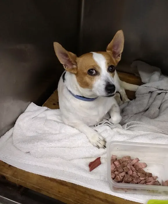 Kaufman Veterinary Center Picture 9