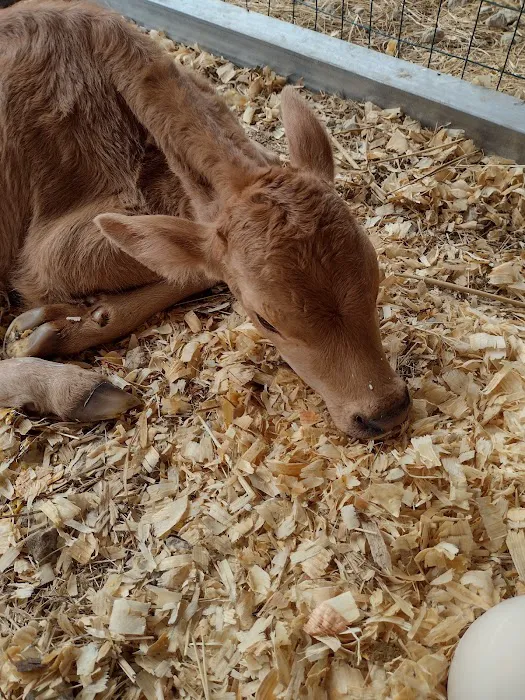 Kaufman Veterinary Center Picture 3