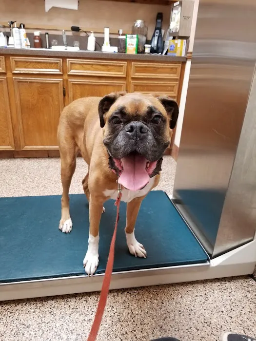 Risinger Veterinary Hospital Picture 4