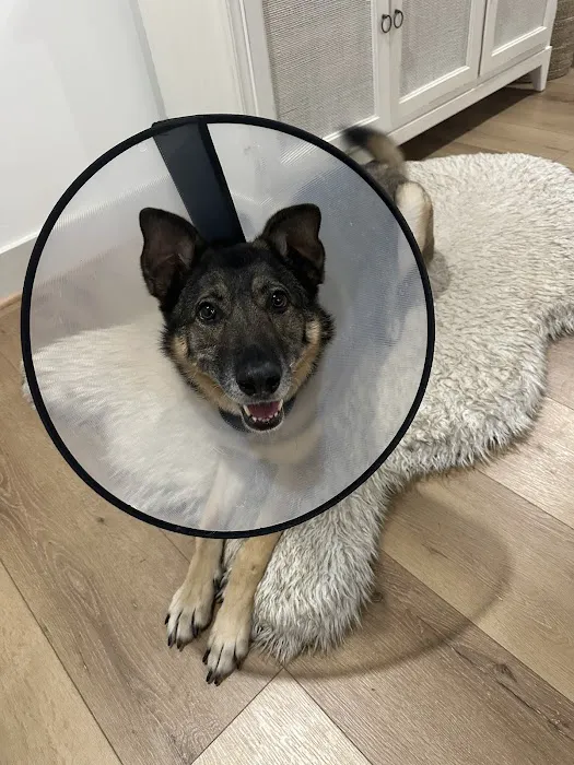 Risinger Veterinary Hospital Picture 8